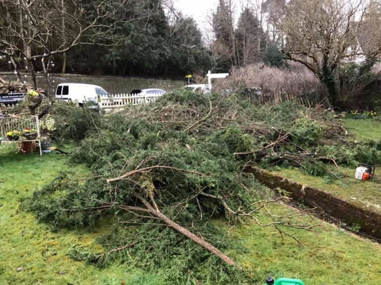 Tree Removal in Kent